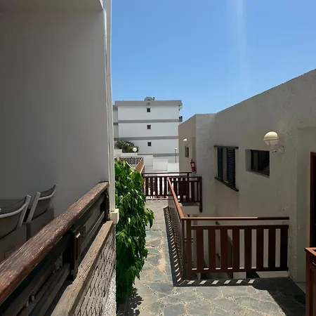 Acebuches 19 * San Bartolomé